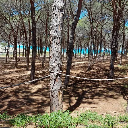 Gallura Dream * בודוני