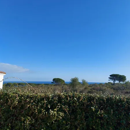 Gallura Dream * ブドーニ